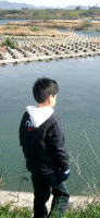 NbNŎʐ^